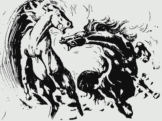 Digital Illustration 6